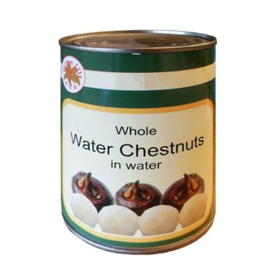 Canned Water Chestnuts
