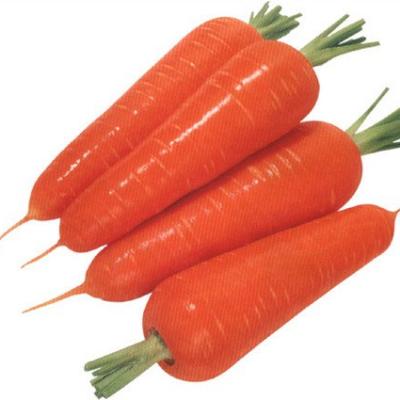 Fresh Carrot